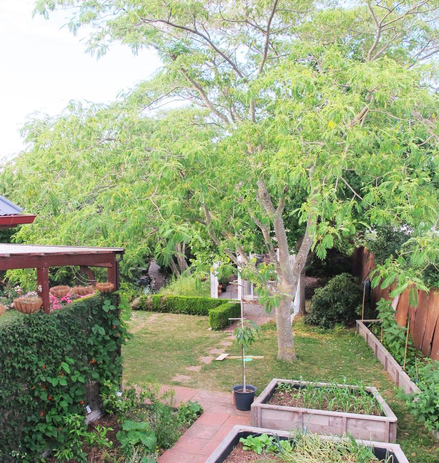 Bed and Breakfast The Old Vicarage Studio Amberley Экстерьер фото